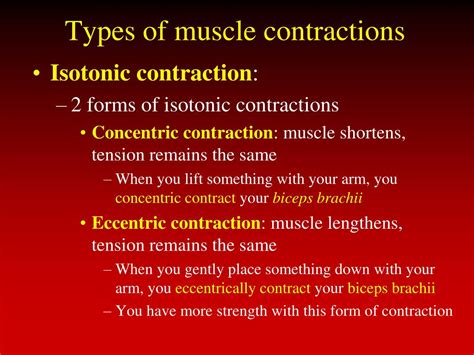 Image result for Anatomy Muscle Actions