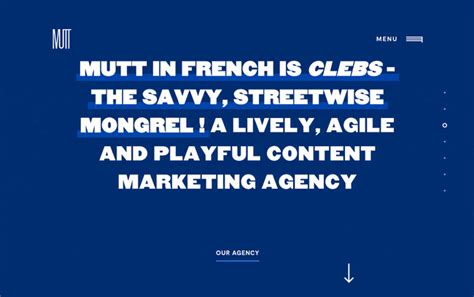 Image result for HTML Cursor Embed Code