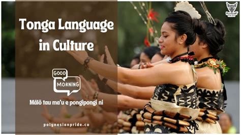 Image result for Native Language in Tonga