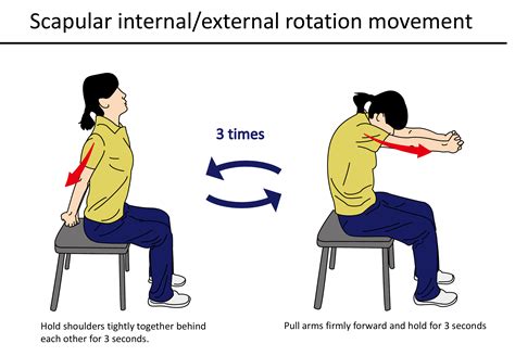 Image result for What Is Shoulder Internal Rotation