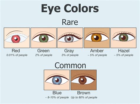 The Rarest Eye Colors, Ranked: How Unique Are Your Eyes?