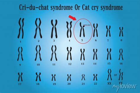 Image result for Chat Bot UI React Native