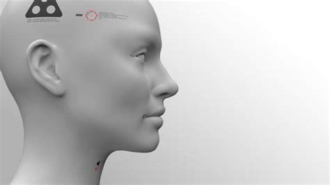 Image result for Head Front and Side View