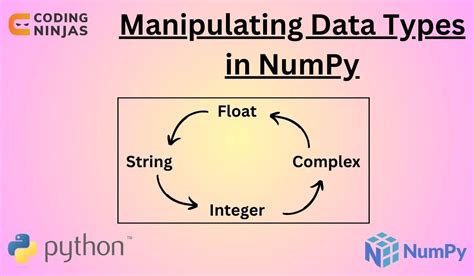 Image result for Numpy Files