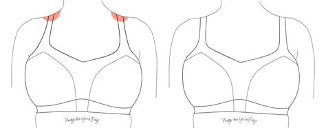 Image result for How Do Straps Work