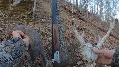 Image result for Squirrel Hunting in VA