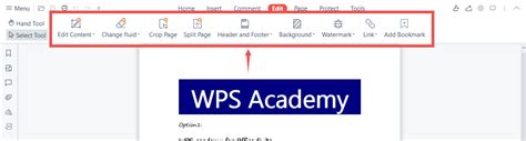 Image result for Form View PDF WPS
