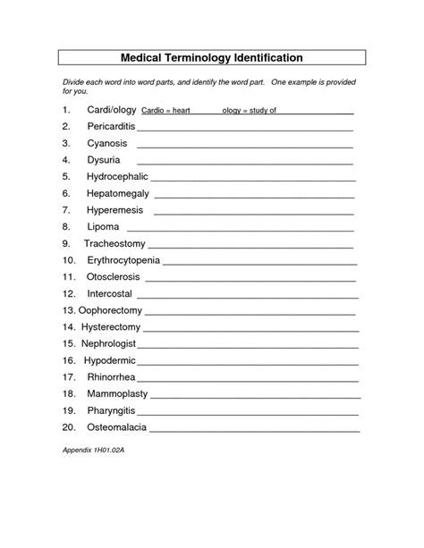 Afbeeldingsresultaten voor Ed Medical Coding Worksheets
