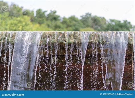 Image result for Waterway Spring Line