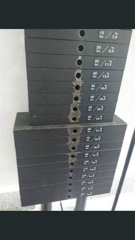 Image result for Normal Distribution in Gym