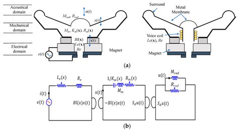 Image result for Polynomial vs Exponential Function