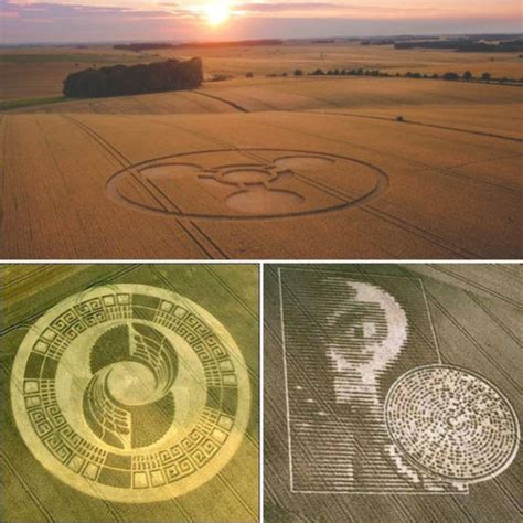 Image result for Crop Circle with an X