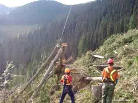 Image result for Ski Line Logging