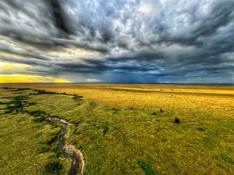 Afbeeldingsresultaten voor Value of Nature