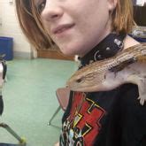 Toradh íomhá ar CL Lizard Model Valentina