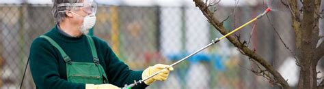 Toradh íomhá ar Debugger Pest Control