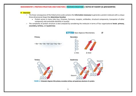 Image result for Protein Structure and Function