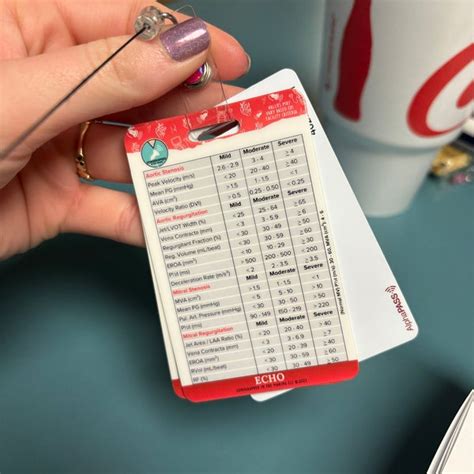 Image result for SPI Ultrasound Course