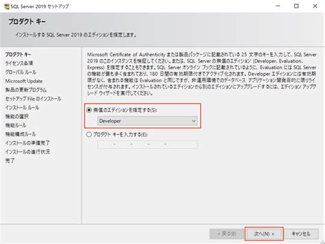 SQL Server 2019 Developer に対する画像結果