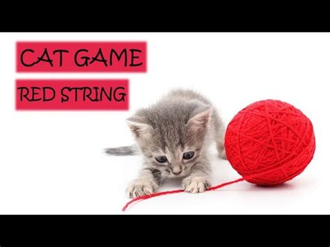 Image result for Cat Catching String Meme