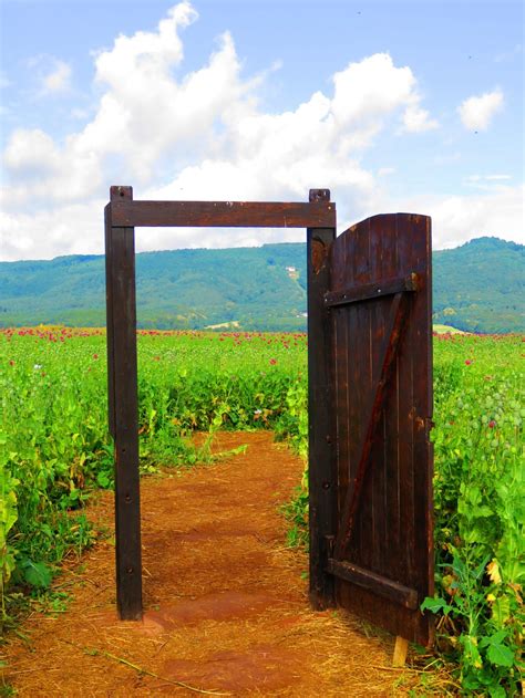 Image result for Open Door in a Field