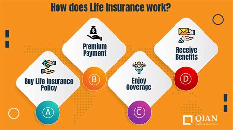 Afbeeldingsresultaten voor Types of Life Insurance in Basic Words