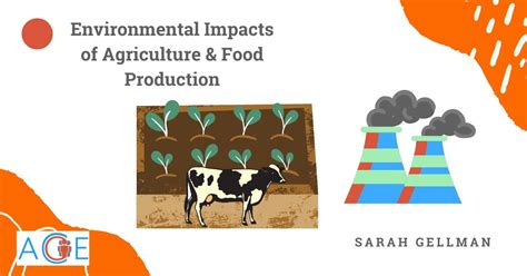 Image result for Food Production and Environment