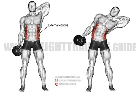Toradh íomhá ar Side Bend Workout