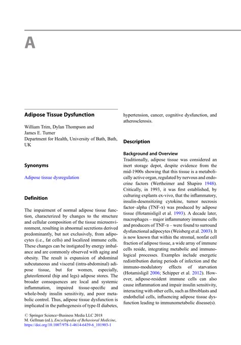 Dysfunctional Adipose Tissue に対する画像結果