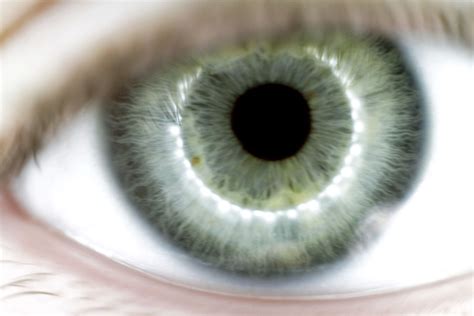 Fill the Frame Examples-এর ছবি ফলাফল