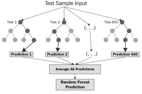 Random Forest Decision Tree Graph に対する画像結果