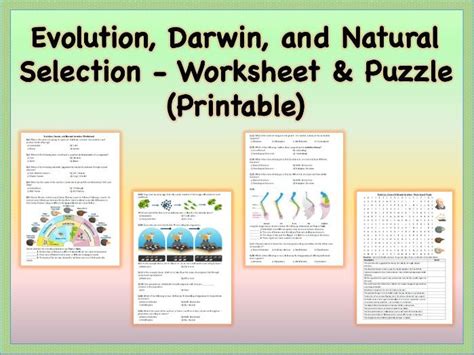 Image result for Evolution and Selection Answer Key