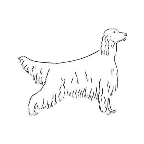 Dog Drawing Vector に対する画像結果