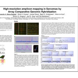 Array Comparative Genomic Hybridization に対する画像結果