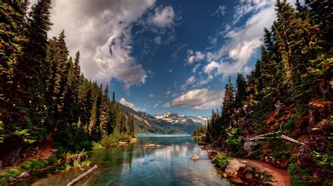 Afbeeldingsresultaten voor Free Nature Desktop Download