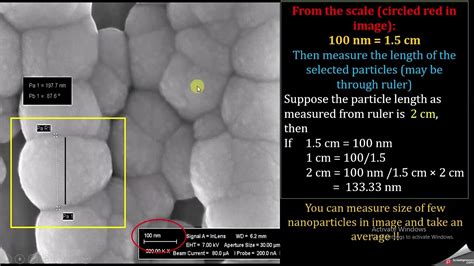 Image result for Particle Size Microscope