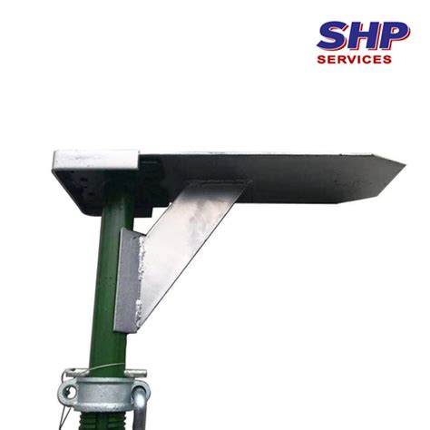 Image result for Strong Boy Plant