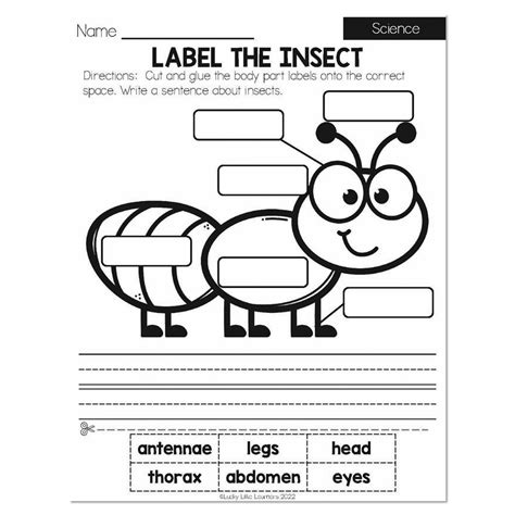 Image result for First Grade Science