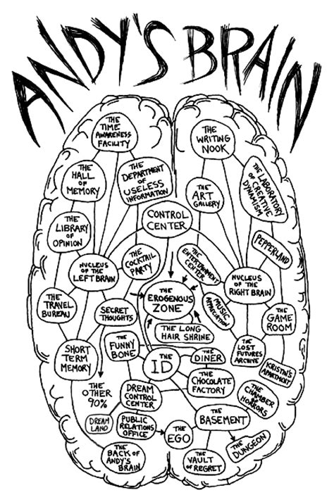 Image result for Paintable Brain Map Broadman's Python
