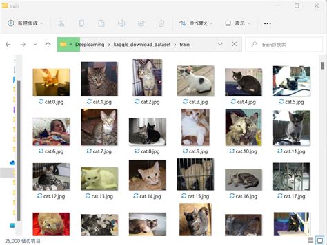 Python Export-Csv に対する画像結果