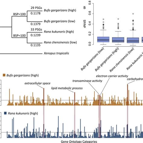 Image result for Comparative Transcriptome