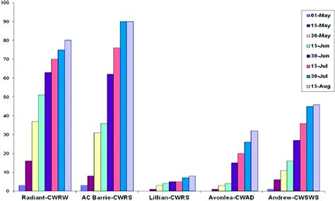 Image result for Differnt Levels of Rust