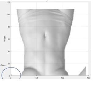 Image result for Picture Over Heatmap MATLAB/Octave