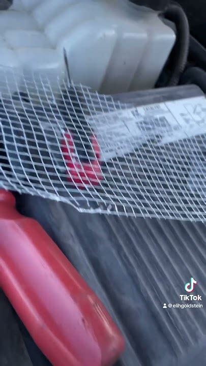 Toradh íomhá ar How to Rodent Proof Your Engine