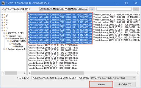 Image result for Restore the Microsoft SQL Server On the Target or Destination Server