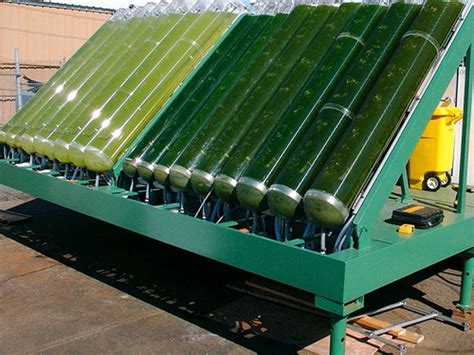 Toradh íomhá ar Renewable Energy Using Algae