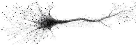 Image result for Biological Neuron Model. Image