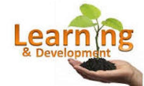 Image result for Promoting Learning and Development