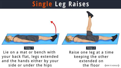 Afbeeldingsresultaten voor Different Types of Leg Raises