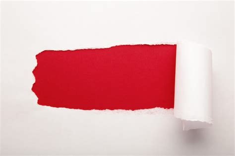 Paper Text Background に対する画像結果